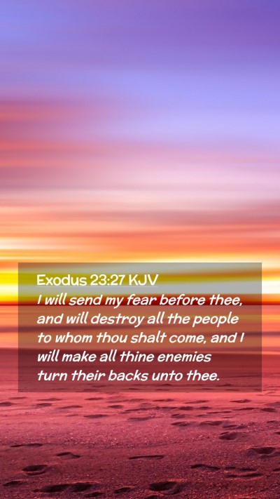 Picture 02 - Exodus 23:27 KJV Mobile Phone Wallpaper - I will send my fear before thee, and will destroy - Mobile Bible Verse Wallpaper