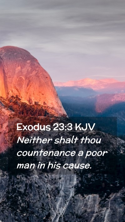 Picture 02 - Exodus 23:3 KJV Mobile Phone Wallpaper - Neither shalt thou countenance a poor man in his - Mobile Bible Verse Wallpaper
