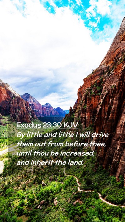 Picture 02 - Exodus 23:30 KJV Mobile Phone Wallpaper - By little and little I will drive them out from - Mobile Bible Verse Wallpaper