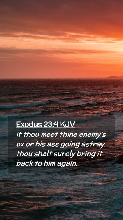 Picture 02 - Exodus 23:4 KJV Mobile Phone Wallpaper - If thou meet thine enemy's ox or his ass going - Mobile Bible Verse Wallpaper