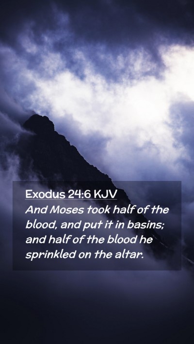 Picture 02 - Exodus 24:6 KJV Mobile Phone Wallpaper - And Moses took half of the blood, and put it in - Mobile Bible Verse Wallpaper