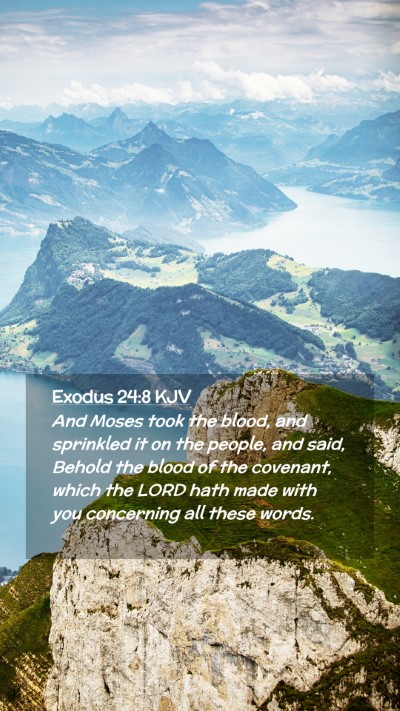Picture 02 - Exodus 24:8 KJV Mobile Phone Wallpaper - And Moses took the blood, and sprinkled it on the - Mobile Bible Verse Wallpaper