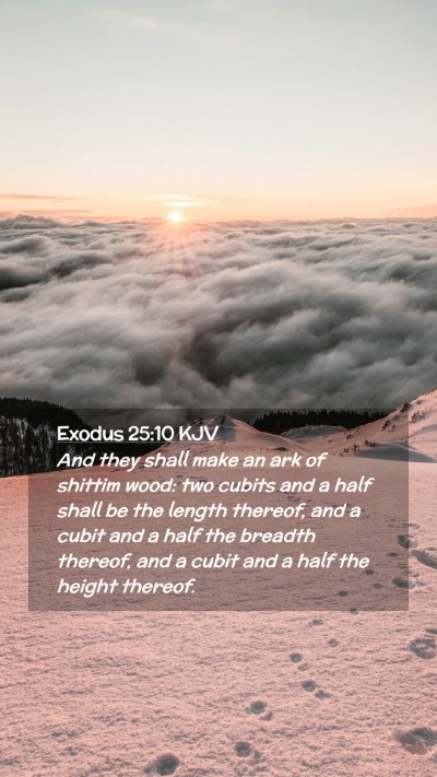 Picture 02 - Exodus 25:10 KJV Mobile Phone Wallpaper - And they shall make an ark of shittim wood: two - Mobile Bible Verse Wallpaper