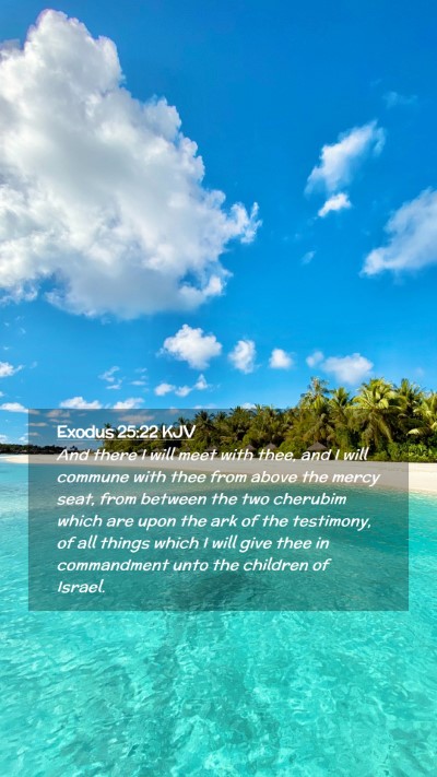 Picture 02 - Exodus 25:22 KJV Mobile Phone Wallpaper - And there I will meet with thee, and I will - Mobile Bible Verse Wallpaper