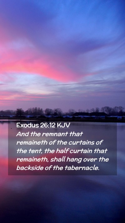 Picture 02 - Exodus 26:12 KJV Mobile Phone Wallpaper - And the remnant that remaineth of the curtains of - Mobile Bible Verse Wallpaper