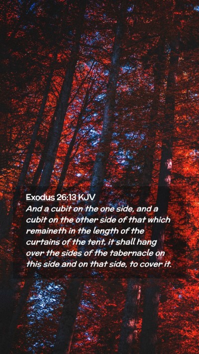 Picture 02 - Exodus 26:13 KJV Mobile Phone Wallpaper - And a cubit on the one side, and a cubit on the - Mobile Bible Verse Wallpaper
