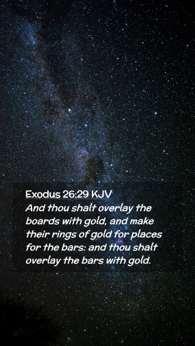 Picture 02 - Exodus 26:29 KJV Mobile Phone Wallpaper - And thou shalt overlay the boards with gold, and - Mobile Bible Verse Wallpaper