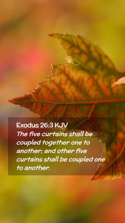Picture 02 - Exodus 26:3 KJV Mobile Phone Wallpaper - The five curtains shall be coupled together one - Mobile Bible Verse Wallpaper