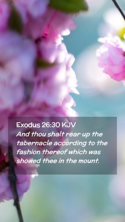 Picture 02 - Exodus 26:30 KJV Mobile Phone Wallpaper - And thou shalt rear up the tabernacle according - Mobile Bible Verse Wallpaper