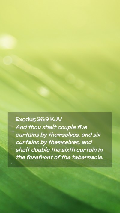 Picture 02 - Exodus 26:9 KJV Mobile Phone Wallpaper - And thou shalt couple five curtains by - Mobile Bible Verse Wallpaper