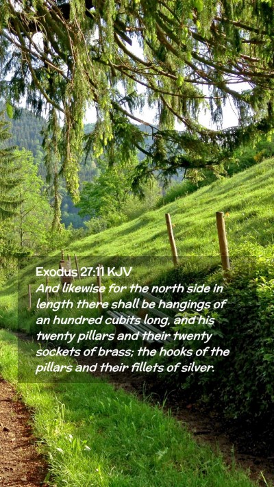Picture 02 - Exodus 27:11 KJV Mobile Phone Wallpaper - And likewise for the north side in length there - Mobile Bible Verse Wallpaper