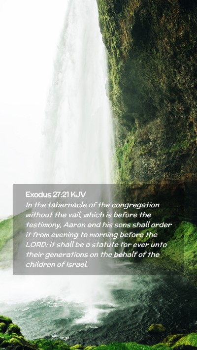 Picture 02 - Exodus 27:21 KJV Mobile Phone Wallpaper - In the tabernacle of the congregation without the - Mobile Bible Verse Wallpaper