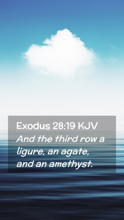 Picture 02 - Exodus 28:19 KJV Mobile Phone Wallpaper - And the third row a ligure, an agate, and an - Mobile Bible Verse Wallpaper