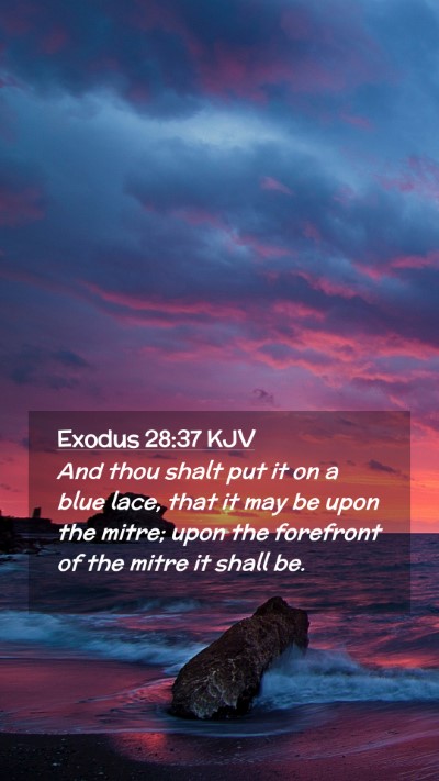 Picture 02 - Exodus 28:37 KJV Mobile Phone Wallpaper - And thou shalt put it on a blue lace, that it may - Mobile Bible Verse Wallpaper