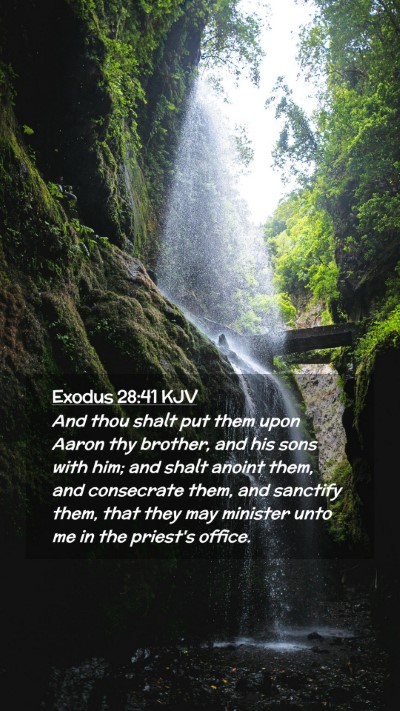 Picture 02 - Exodus 28:41 KJV Mobile Phone Wallpaper - And thou shalt put them upon Aaron thy brother, - Mobile Bible Verse Wallpaper