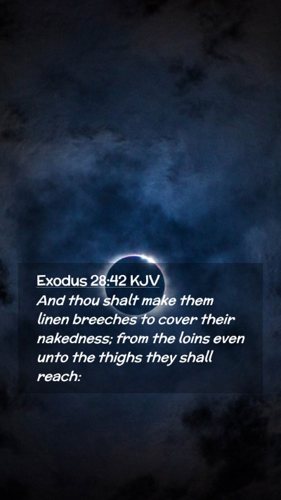 Picture 02 - Exodus 28:42 KJV Mobile Phone Wallpaper - And thou shalt make them linen breeches to cover - Mobile Bible Verse Wallpaper