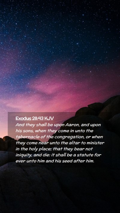 Picture 02 - Exodus 28:43 KJV Mobile Phone Wallpaper - And they shall be upon Aaron, and upon his sons, - Mobile Bible Verse Wallpaper