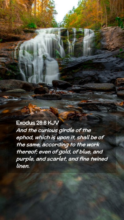 Picture 02 - Exodus 28:8 KJV Mobile Phone Wallpaper - And the curious girdle of the ephod, which is - Mobile Bible Verse Wallpaper