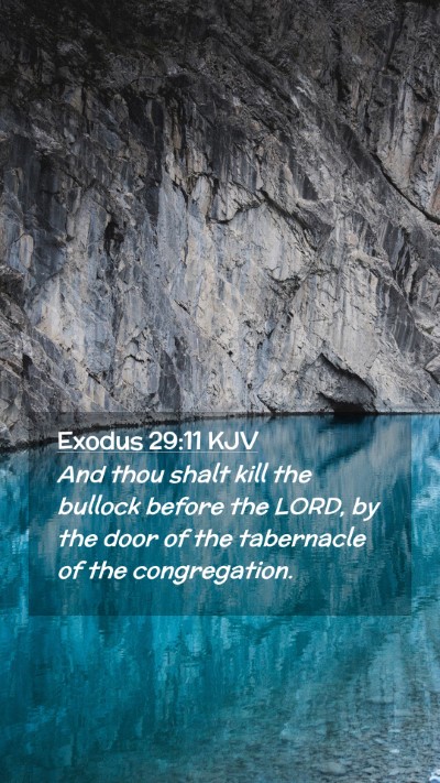 Picture 02 - Exodus 29:11 KJV Mobile Phone Wallpaper - And thou shalt kill the bullock before the LORD, - Mobile Bible Verse Wallpaper