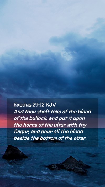 Picture 02 - Exodus 29:12 KJV Mobile Phone Wallpaper - And thou shalt take of the blood of the bullock, - Mobile Bible Verse Wallpaper
