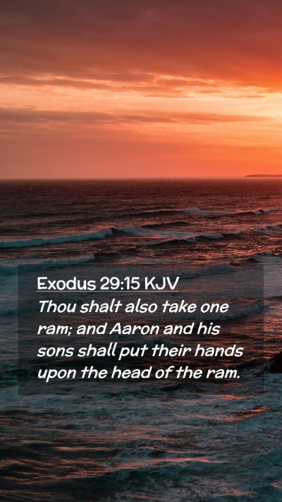 Picture 02 - Exodus 29:15 KJV Mobile Phone Wallpaper - Thou shalt also take one ram; and Aaron and his - Mobile Bible Verse Wallpaper