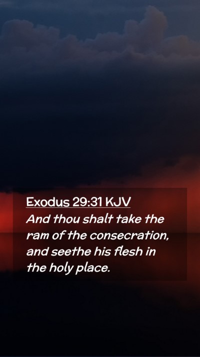 Picture 02 - Exodus 29:31 KJV Mobile Phone Wallpaper - And thou shalt take the ram of the consecration, - Mobile Bible Verse Wallpaper