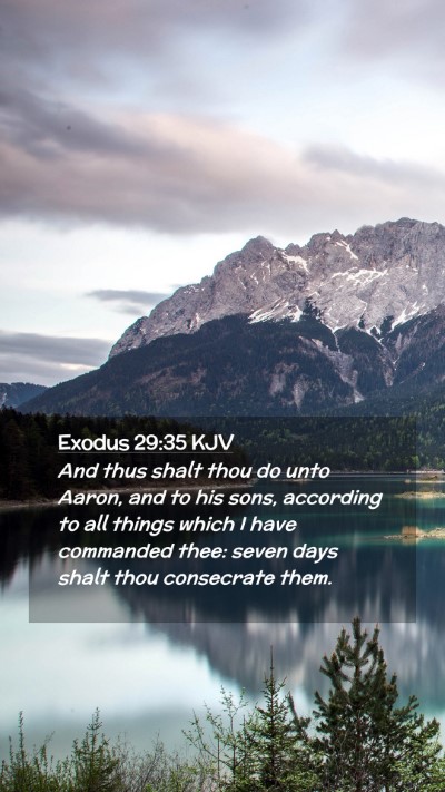 Picture 02 - Exodus 29:35 KJV Mobile Phone Wallpaper - And thus shalt thou do unto Aaron, and to his - Mobile Bible Verse Wallpaper