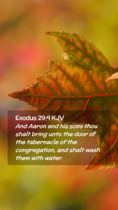 Picture 02 - Exodus 29:4 KJV Mobile Phone Wallpaper - And Aaron and his sons thou shalt bring unto the - Mobile Bible Verse Wallpaper