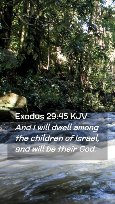 Picture 02 - Exodus 29:45 KJV Mobile Phone Wallpaper - And I will dwell among the children of Israel, - Mobile Bible Verse Wallpaper