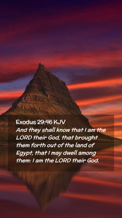 Picture 02 - Exodus 29:46 KJV Mobile Phone Wallpaper - And they shall know that I am the LORD their God, - Mobile Bible Verse Wallpaper