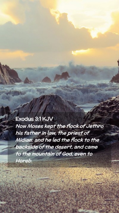 Picture 02 - Exodus 3:1 KJV Mobile Phone Wallpaper - Now Moses kept the flock of Jethro his father in - Mobile Bible Verse Wallpaper