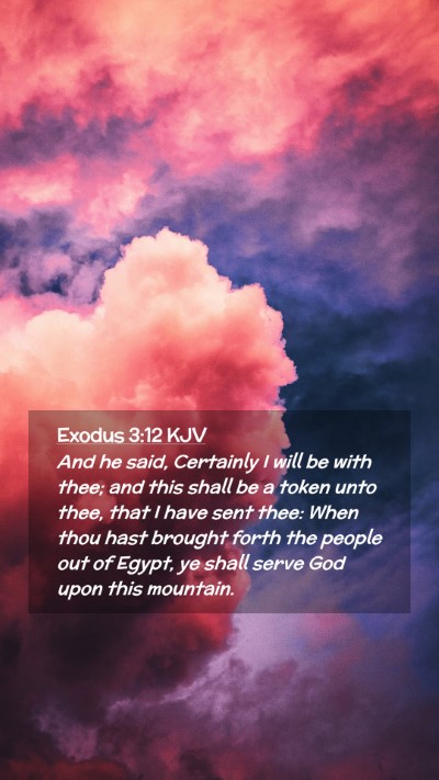 Picture 02 - Exodus 3:12 KJV Mobile Phone Wallpaper - And he said, Certainly I will be with thee; and - Mobile Bible Verse Wallpaper