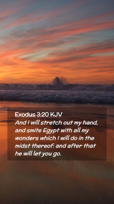 Picture 02 - Exodus 3:20 KJV Mobile Phone Wallpaper - And I will stretch out my hand, and smite Egypt - Mobile Bible Verse Wallpaper
