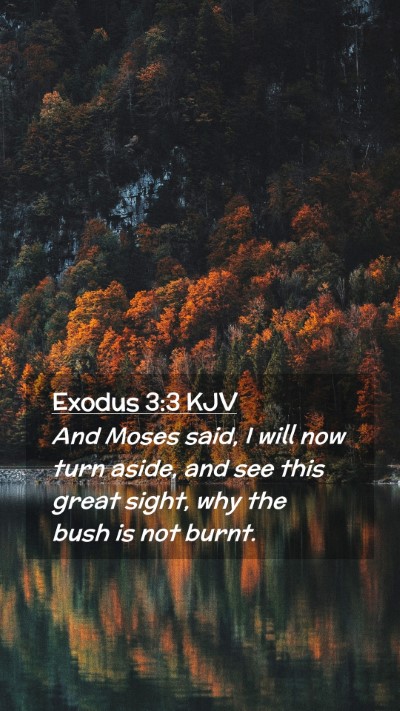 Picture 02 - Exodus 3:3 KJV Mobile Phone Wallpaper - And Moses said, I will now turn aside, and see - Mobile Bible Verse Wallpaper