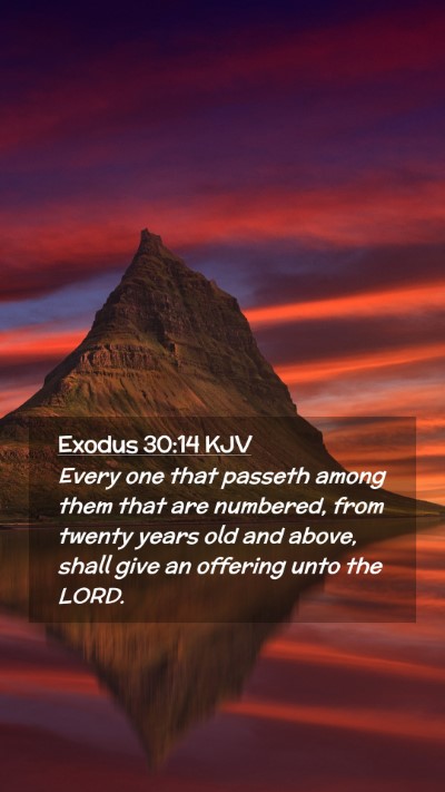 Picture 02 - Exodus 30:14 KJV Mobile Phone Wallpaper - Every one that passeth among them that are - Mobile Bible Verse Wallpaper