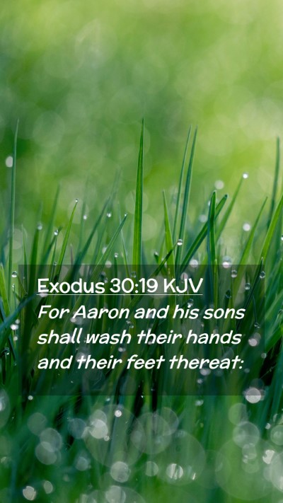 Picture 02 - Exodus 30:19 KJV Mobile Phone Wallpaper - For Aaron and his sons shall wash their hands and - Mobile Bible Verse Wallpaper