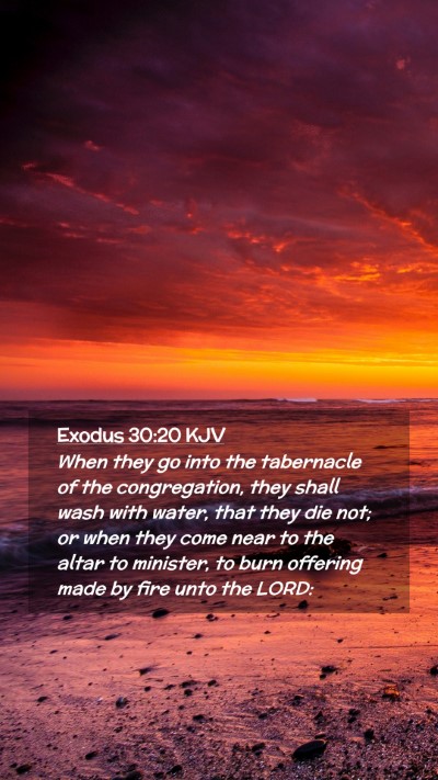 Picture 02 - Exodus 30:20 KJV Mobile Phone Wallpaper - When they go into the tabernacle of the - Mobile Bible Verse Wallpaper