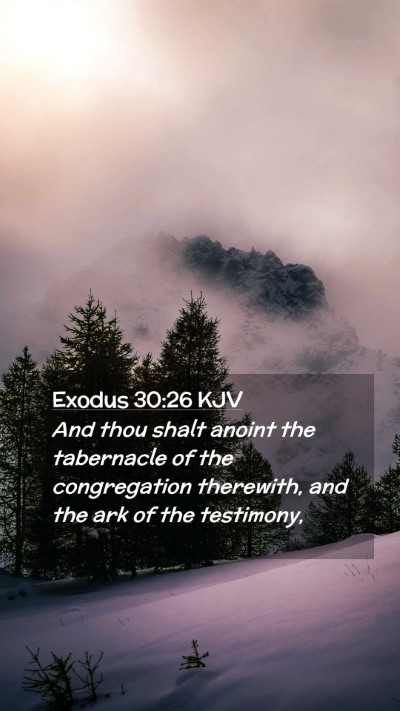 Picture 02 - Exodus 30:26 KJV Mobile Phone Wallpaper - And thou shalt anoint the tabernacle of the - Mobile Bible Verse Wallpaper