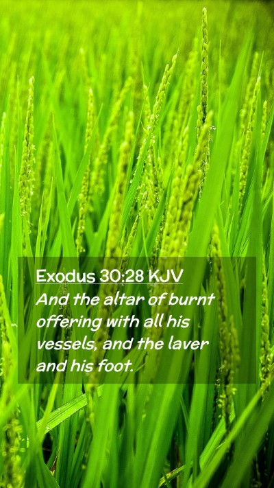 Picture 02 - Exodus 30:28 KJV Mobile Phone Wallpaper - And the altar of burnt offering with all his - Mobile Bible Verse Wallpaper