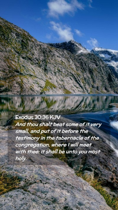 Picture 02 - Exodus 30:36 KJV Mobile Phone Wallpaper - And thou shalt beat some of it very small, and - Mobile Bible Verse Wallpaper