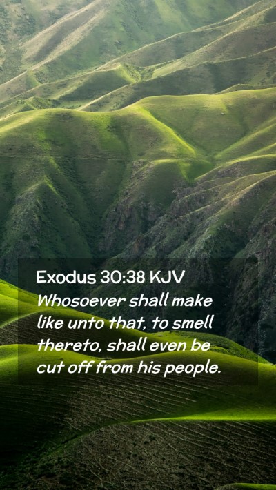Picture 02 - Exodus 30:38 KJV Mobile Phone Wallpaper - Whosoever shall make like unto that, to smell - Mobile Bible Verse Wallpaper