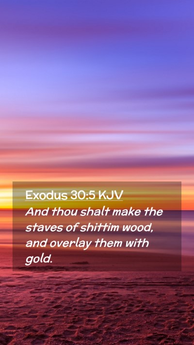 Picture 02 - Exodus 30:5 KJV Mobile Phone Wallpaper - And thou shalt make the staves of shittim wood, - Mobile Bible Verse Wallpaper