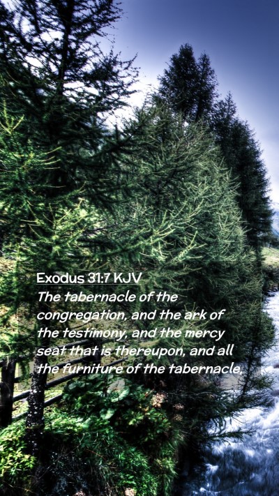 Picture 02 - Exodus 31:7 KJV Mobile Phone Wallpaper - The tabernacle of the congregation, and the ark - Mobile Bible Verse Wallpaper
