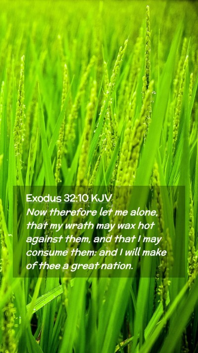 Picture 02 - Exodus 32:10 KJV Mobile Phone Wallpaper - Now therefore let me alone, that my wrath may wax - Mobile Bible Verse Wallpaper