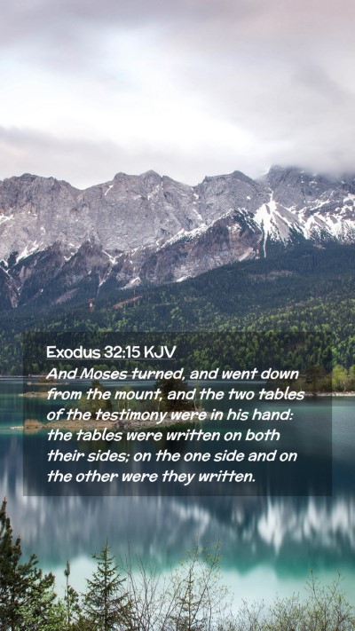 Picture 02 - Exodus 32:15 KJV Mobile Phone Wallpaper - And Moses turned, and went down from the mount, - Mobile Bible Verse Wallpaper