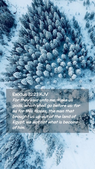 Picture 02 - Exodus 32:23 KJV Mobile Phone Wallpaper - For they said unto me, Make us gods, which shall - Mobile Bible Verse Wallpaper