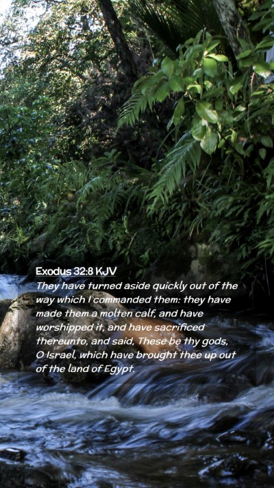 Picture 02 - Exodus 32:8 KJV Mobile Phone Wallpaper - They have turned aside quickly out of the way - Mobile Bible Verse Wallpaper