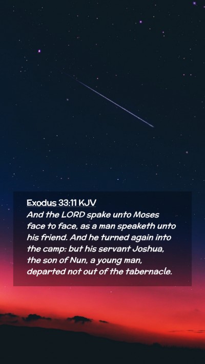 Picture 02 - Exodus 33:11 KJV Mobile Phone Wallpaper - And the LORD spake unto Moses face to face, as a - Mobile Bible Verse Wallpaper