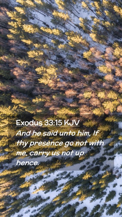 Picture 02 - Exodus 33:15 KJV Mobile Phone Wallpaper - And he said unto him, If thy presence go not with - Mobile Bible Verse Wallpaper