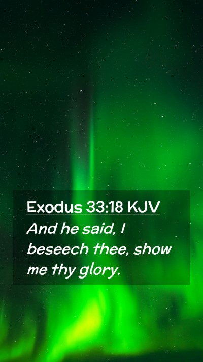 Picture 02 - Exodus 33:18 KJV Mobile Phone Wallpaper - And he said, I beseech thee, show me thy - Mobile Bible Verse Wallpaper